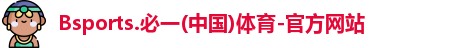 B体育官网